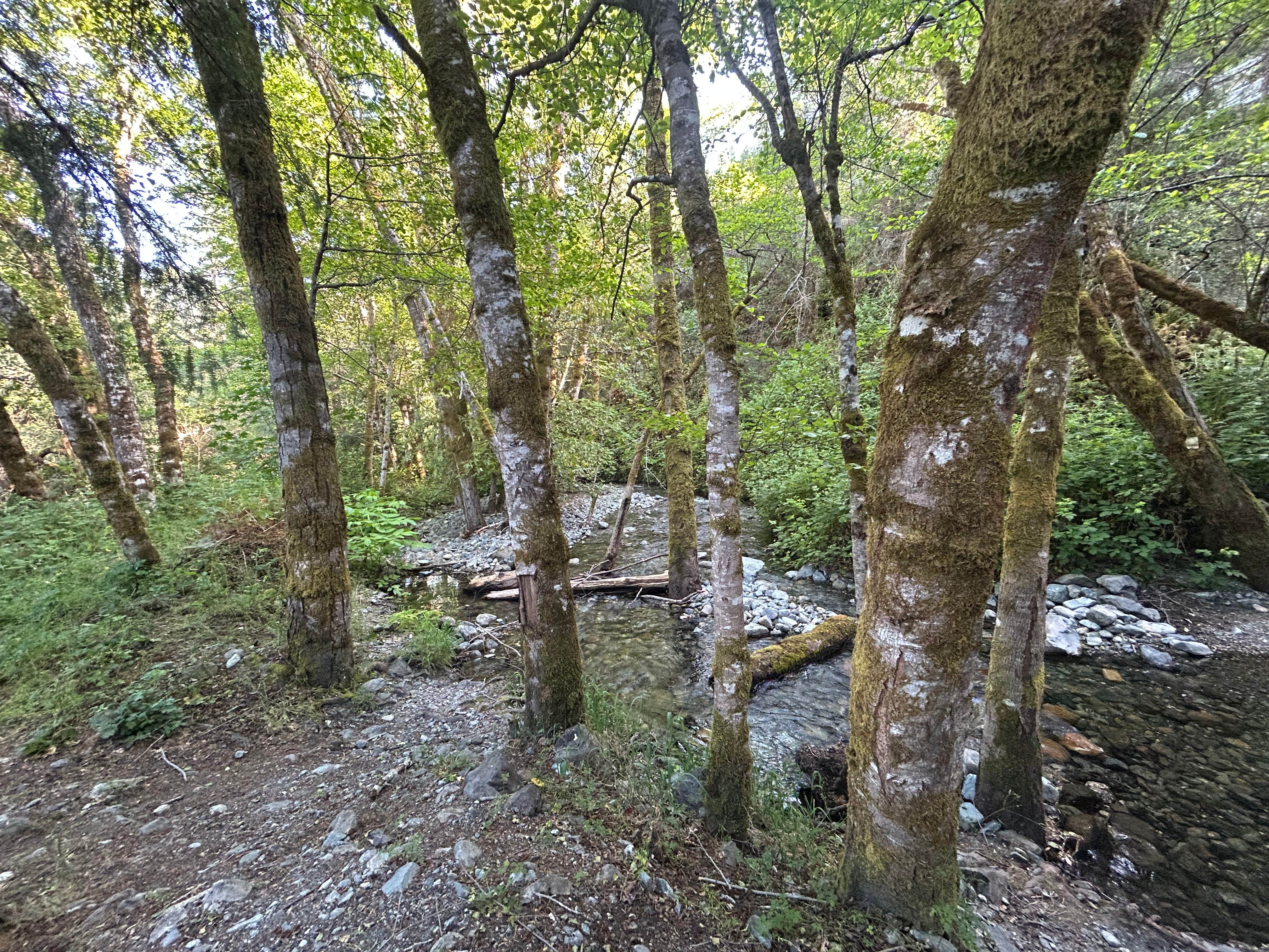 Camper-submitted photo at Aikens Creek West Campground near Orleans, CA