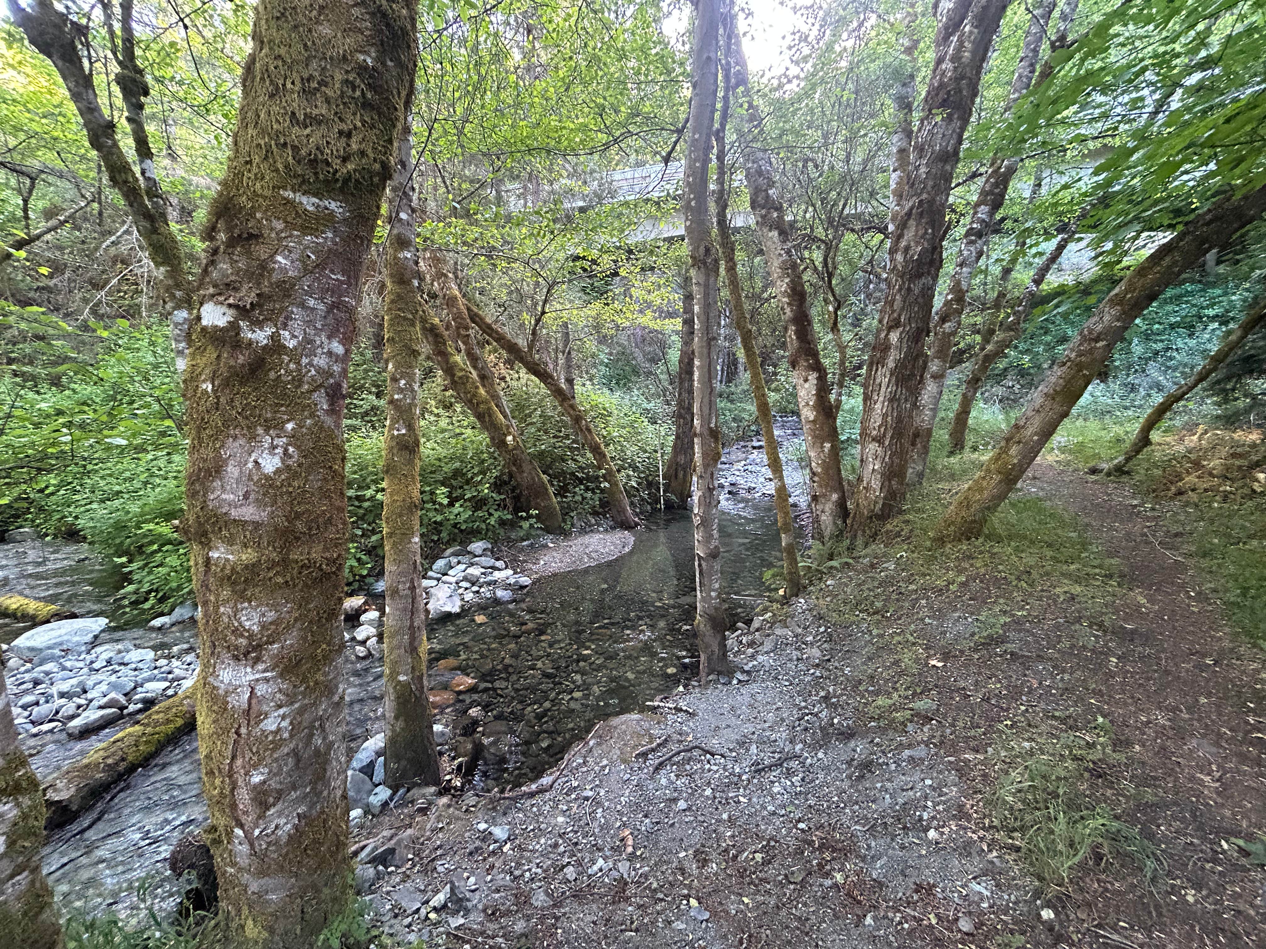 Camper-submitted photo at Aikens Creek West Campground near Orleans, CA