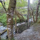 Review photo of Aikens Creek West Campground by Liza P., May 16, 2026