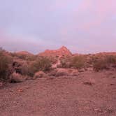 Review photo of Ajo BLM Dispersed by John S., February 8, 2026