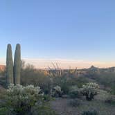 Review photo of Ajo BLM Dispersed by matthew H., March 13, 2024