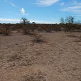 Review photo of Ajo Regional Park - Dennison Camping Area by Kevin C., February 7, 2025