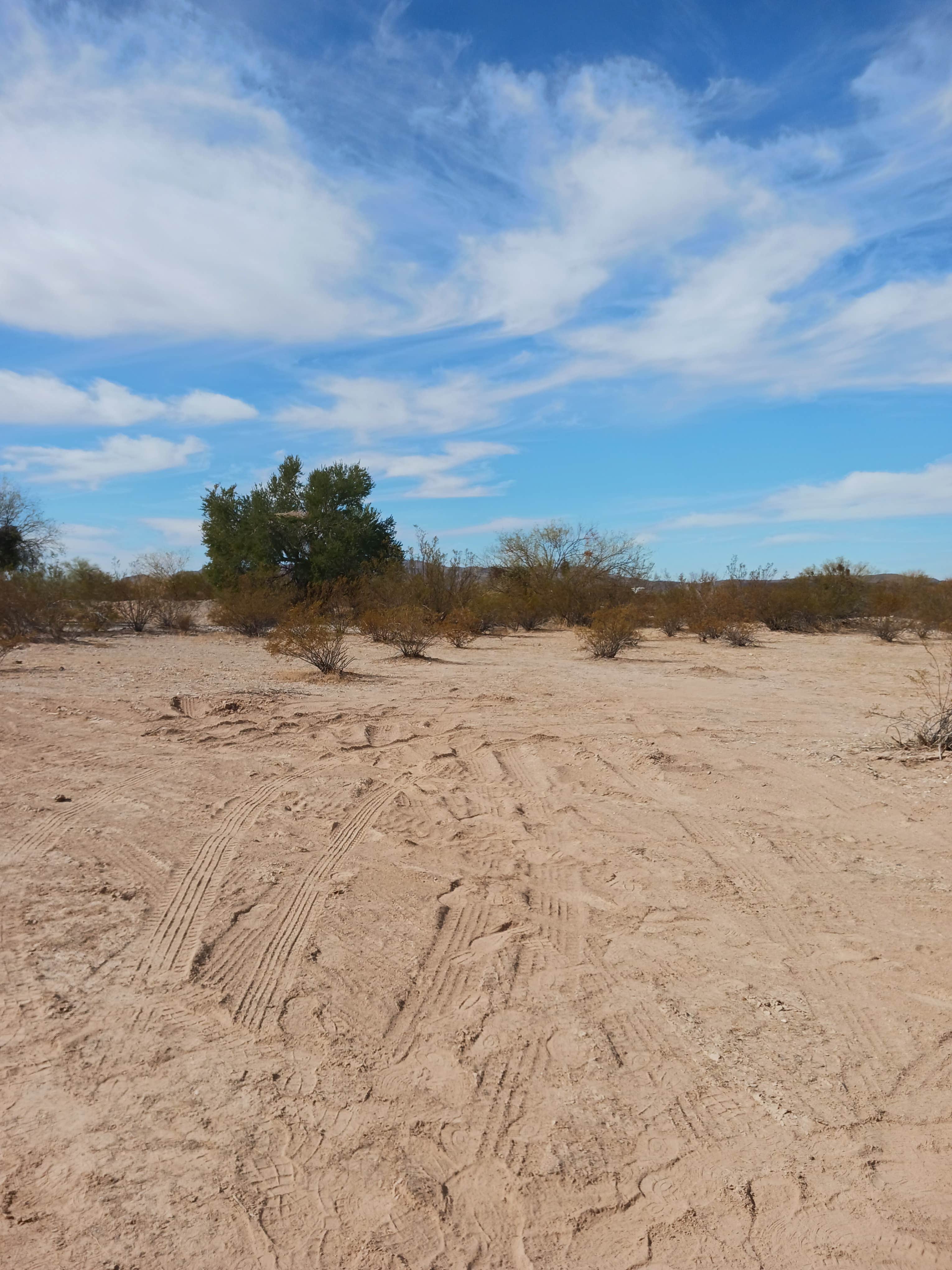 Camper-submitted photo at Ajo Regional Park - Dennison Camping Area near Ajo, AZ