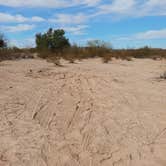 Review photo of Ajo Regional Park - Dennison Camping Area by Kevin C., February 7, 2025