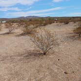 Review photo of Ajo Regional Park - Dennison Camping Area by Kevin C., February 7, 2025