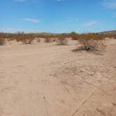 Review photo of Ajo Regional Park - Dennison Camping Area by Kevin C., February 7, 2025