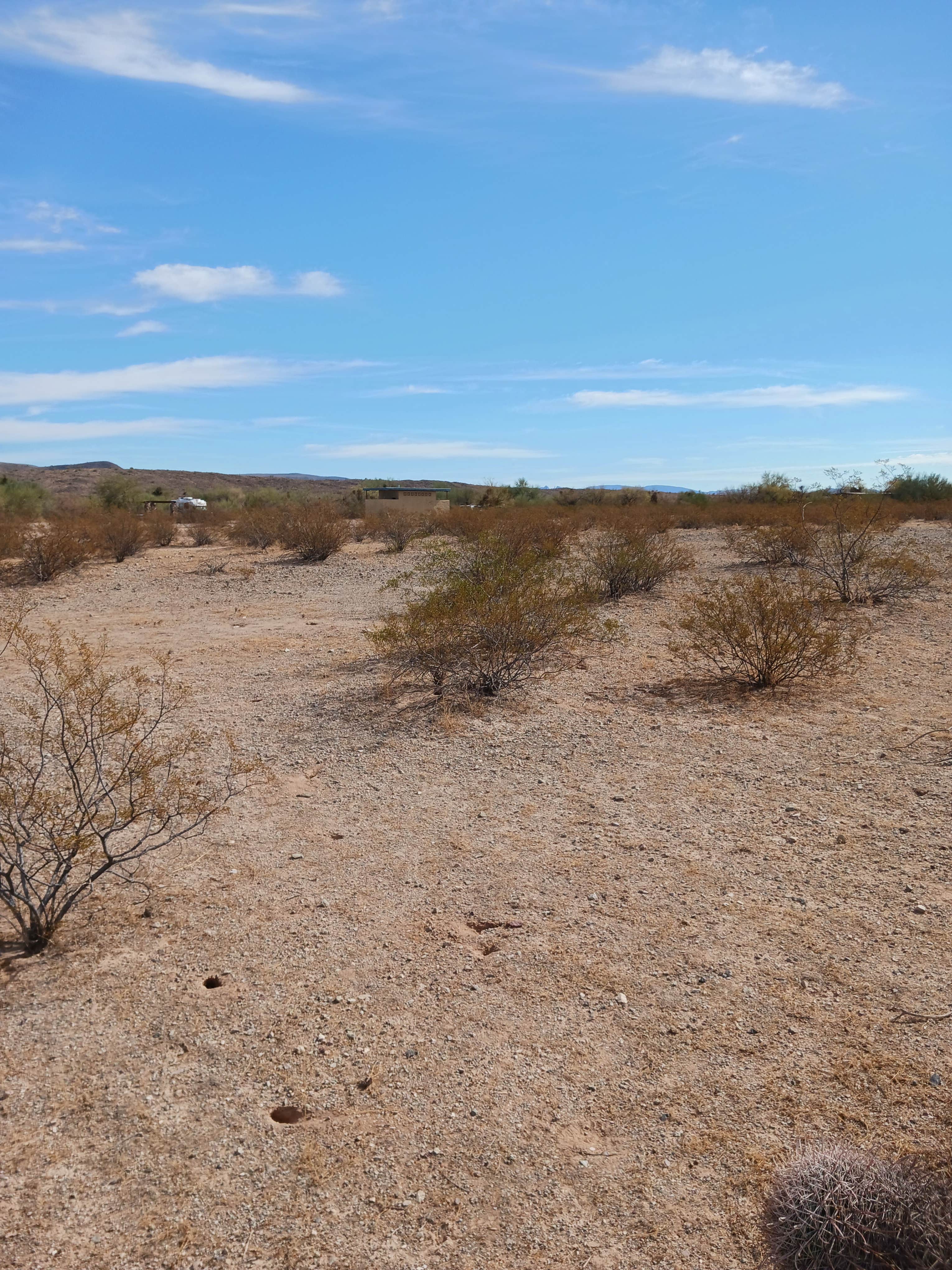 Camper-submitted photo at Ajo Regional Park - Dennison Camping Area near Ajo, AZ