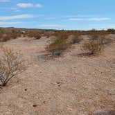 Review photo of Ajo Regional Park - Dennison Camping Area by Kevin C., February 7, 2025