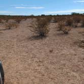 Review photo of Ajo Regional Park - Dennison Camping Area by Kevin C., February 7, 2025