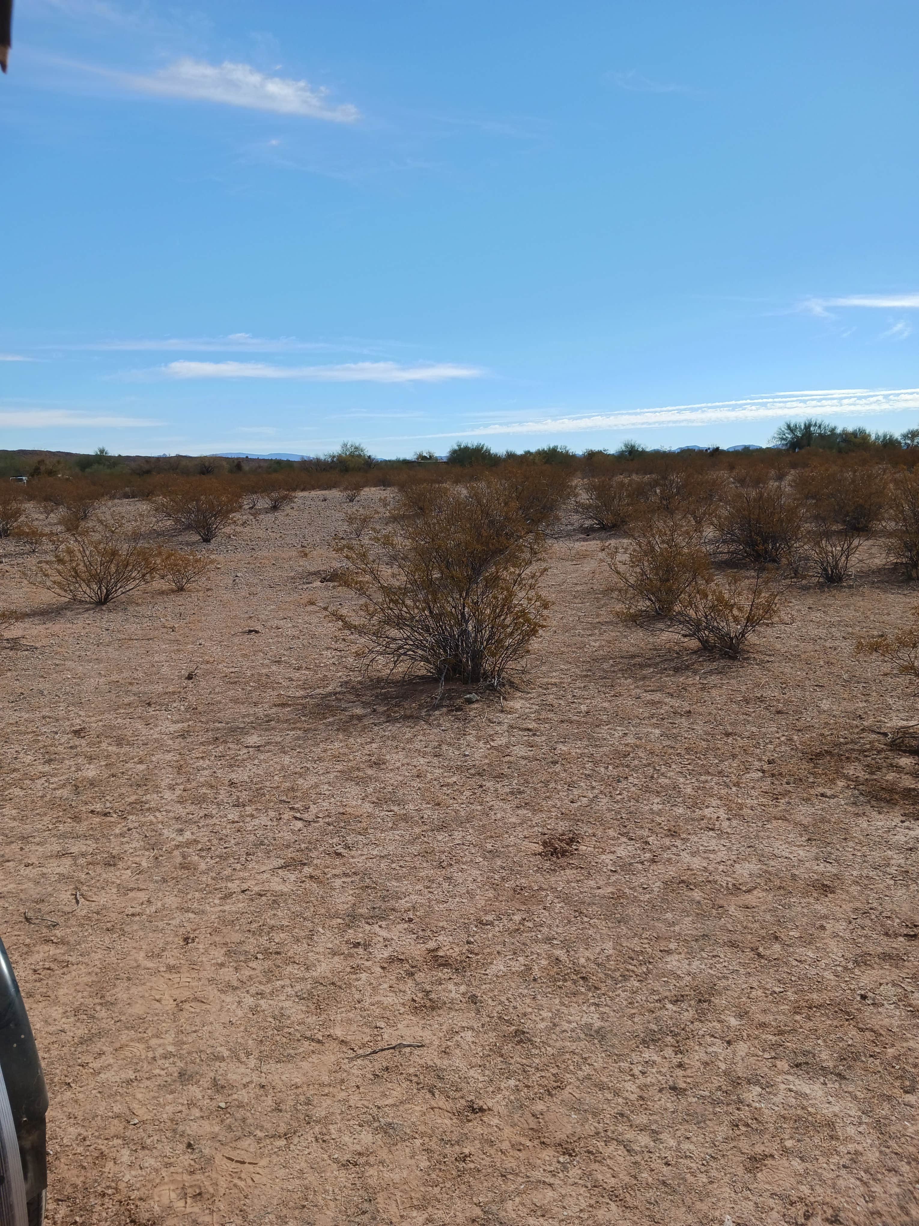 Camper submitted image from Ajo Regional Park - Dennison Camping Area - 4