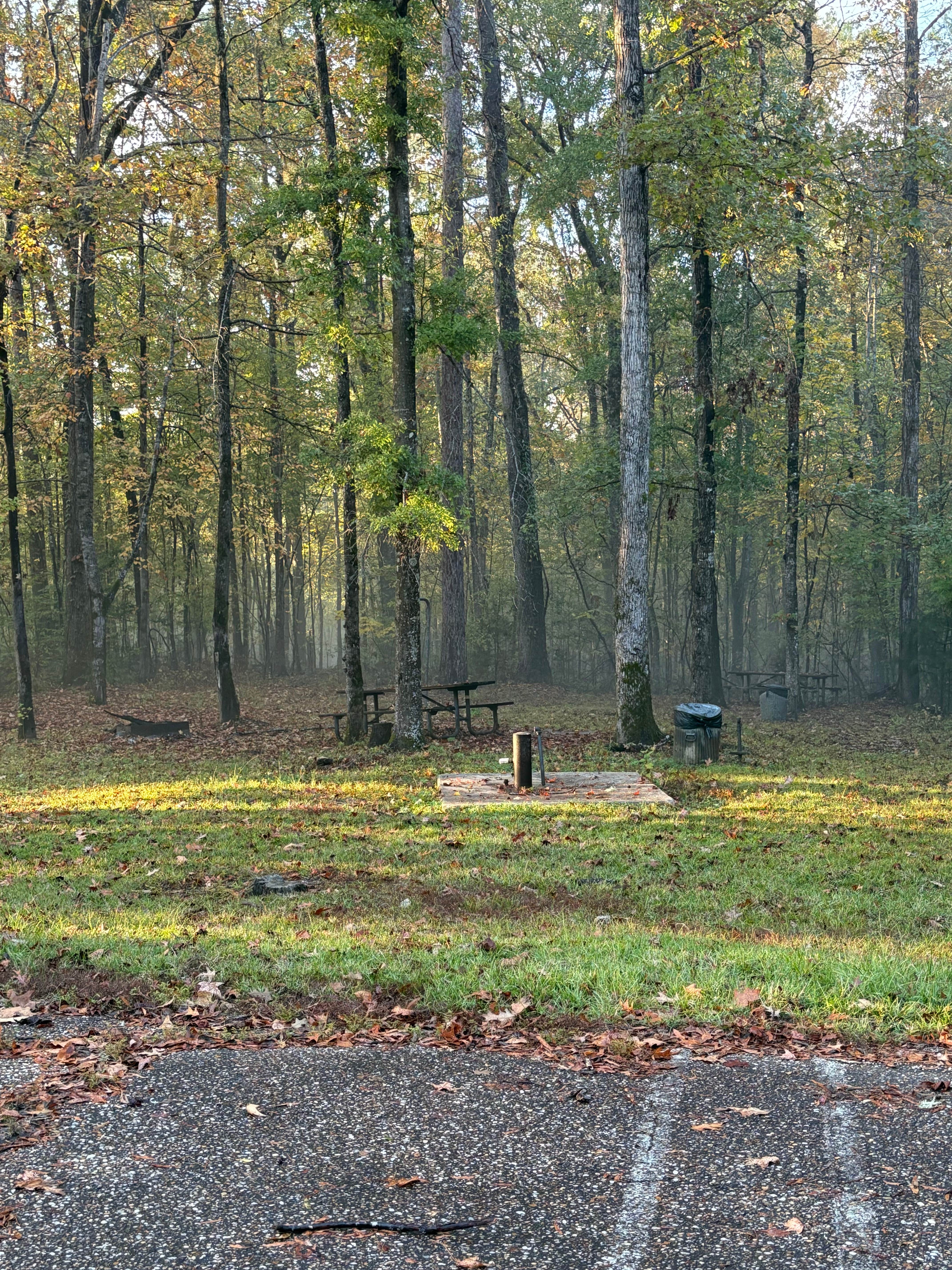 Camping near Silver Creek Park: Bells Landing, Camden, Alabama