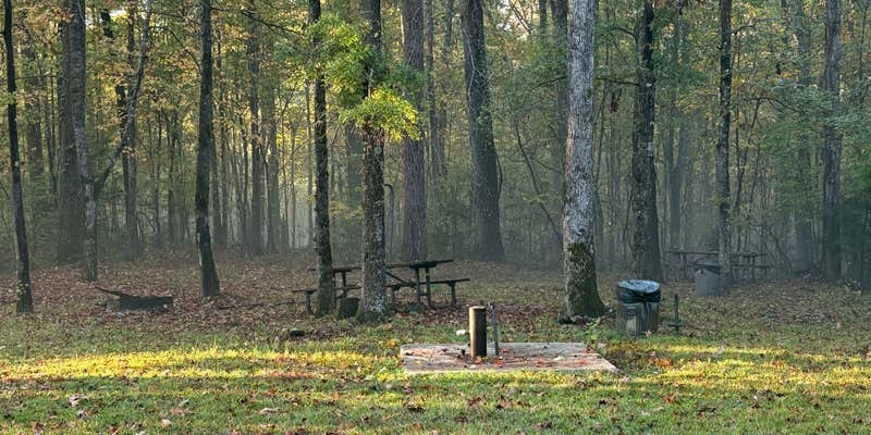 Camper submitted image from Bells Landing