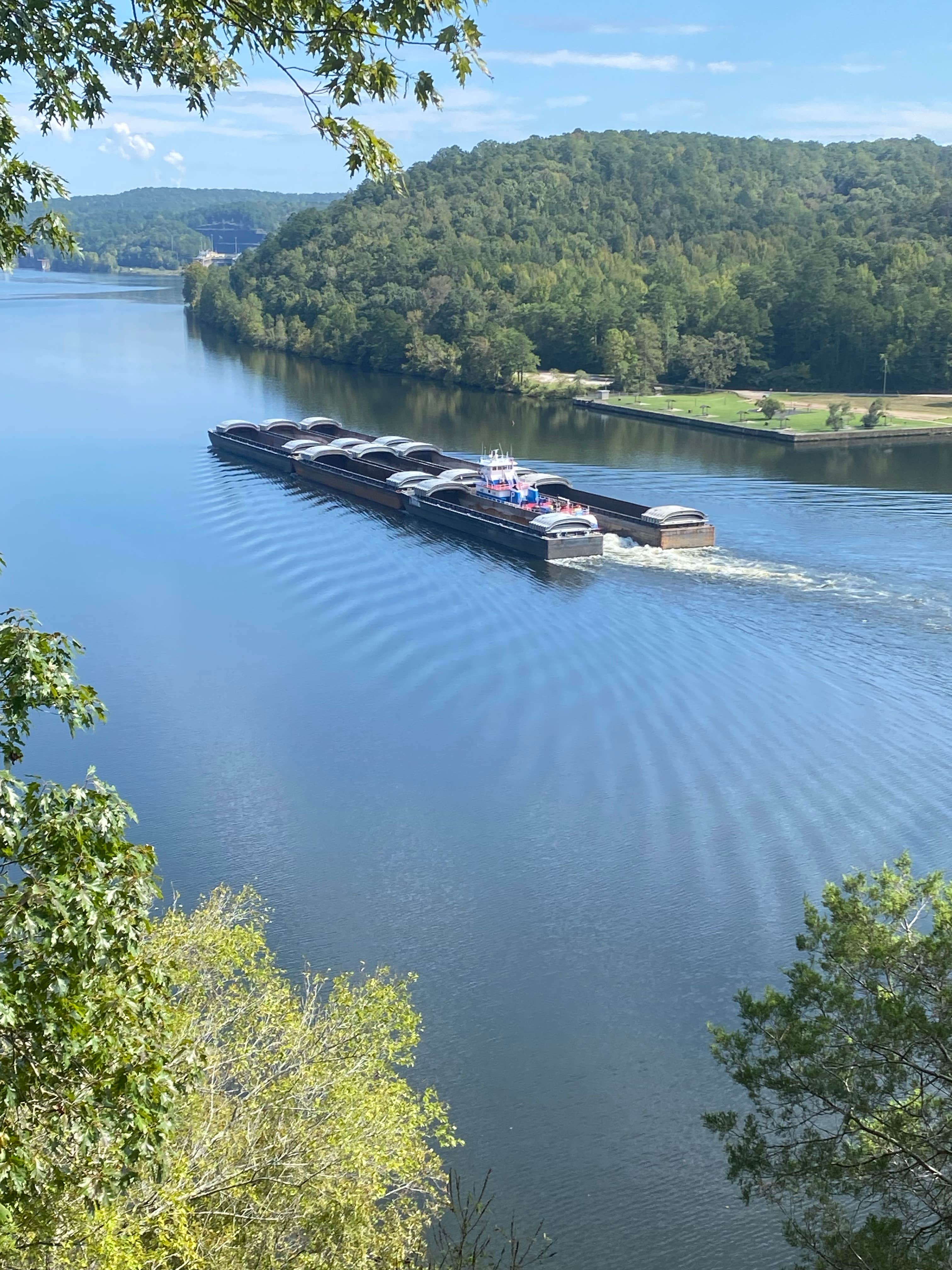 Michael P.'s photo of a dispersed camping area at Blue Creek Public Use Area near Columbiana, AL