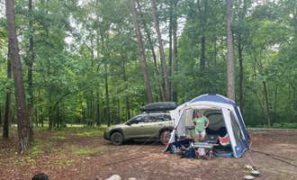 Camping near Deerlick Creek: Blue Creek Public Use Area, Tuscaloosa, Alabama