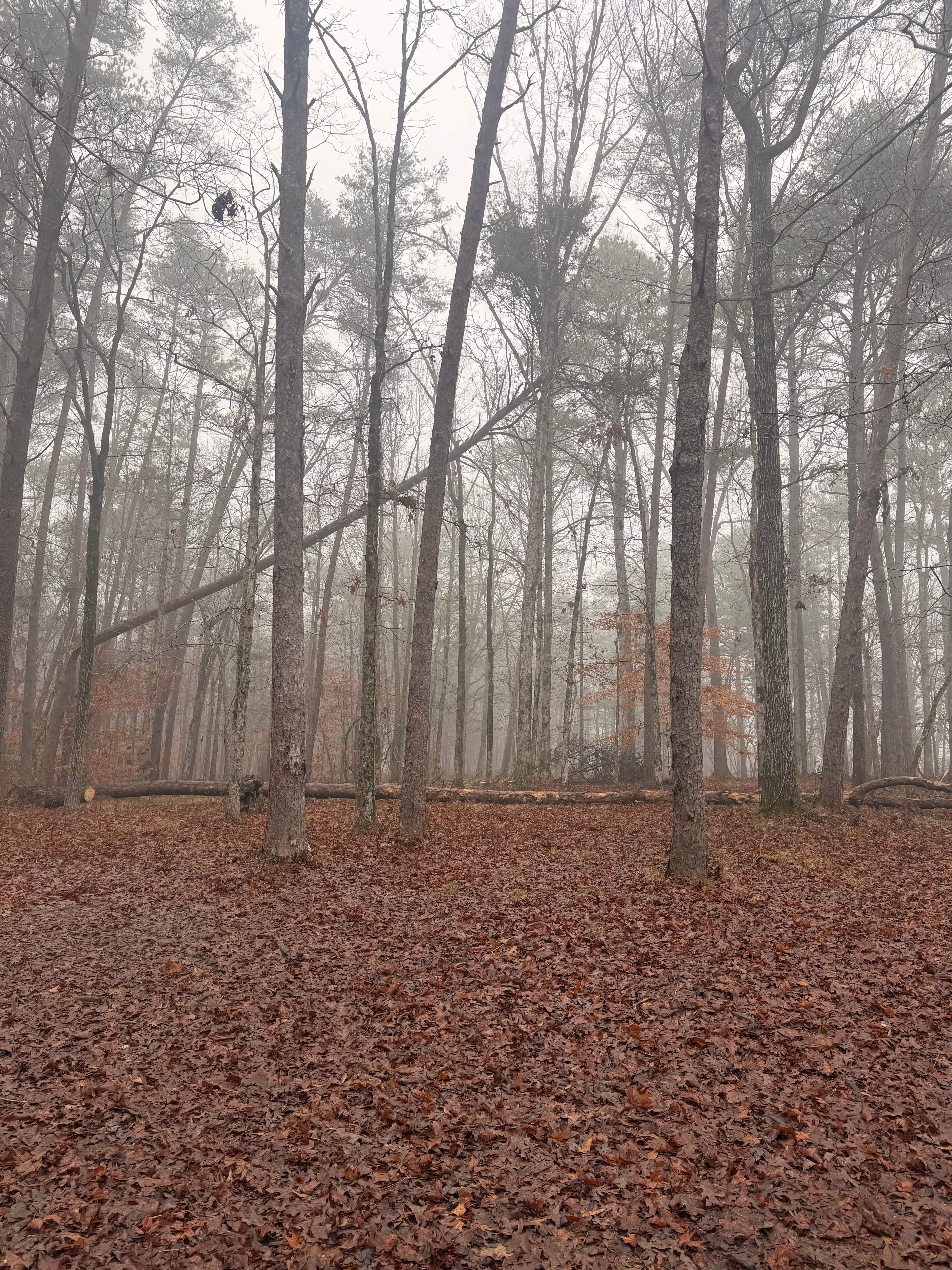 Camper-submitted photo at Blue Creek Public Use Area near Calera, AL