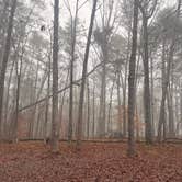 Review photo of Blue Creek Public Use Area by Ray N., January 10, 2026