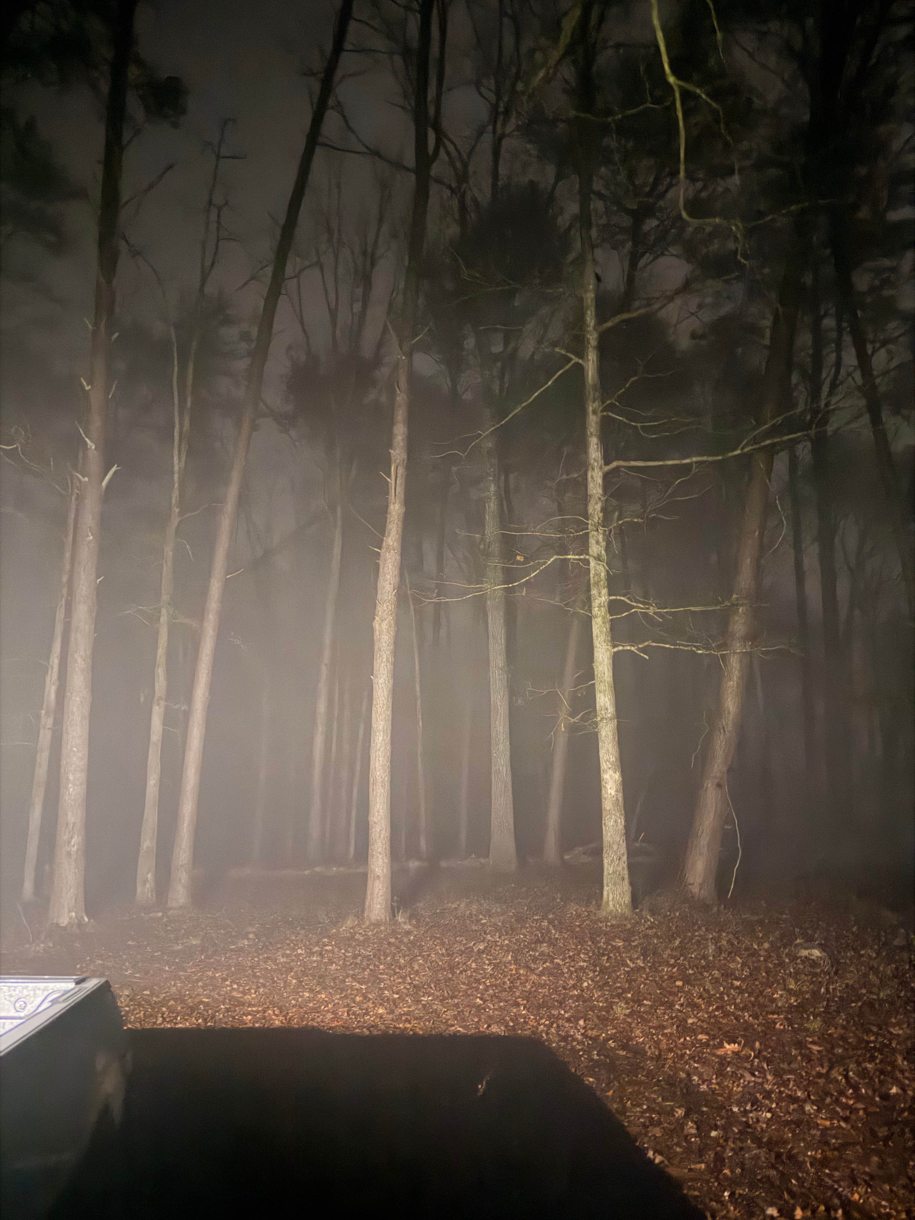 Camper-submitted photo at Blue Creek Public Use Area near Calera, AL