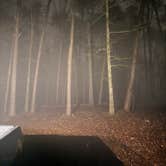 Review photo of Blue Creek Public Use Area by Ray N., January 10, 2026