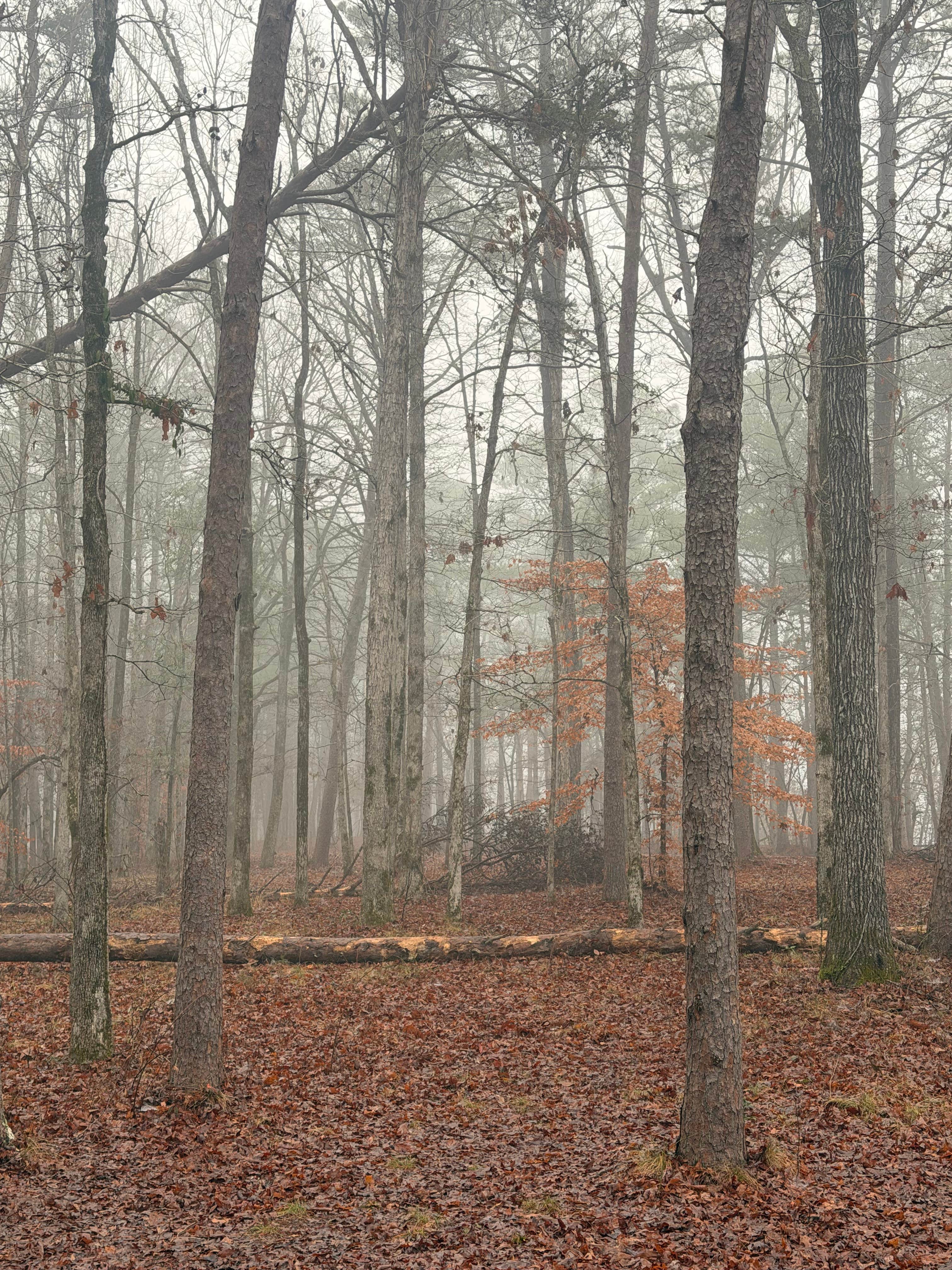 Camper-submitted photo at Blue Creek Public Use Area near Calera, AL