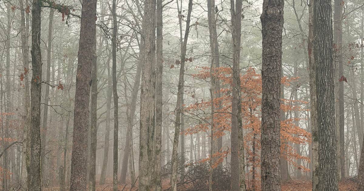 Blue Creek Public Use Area