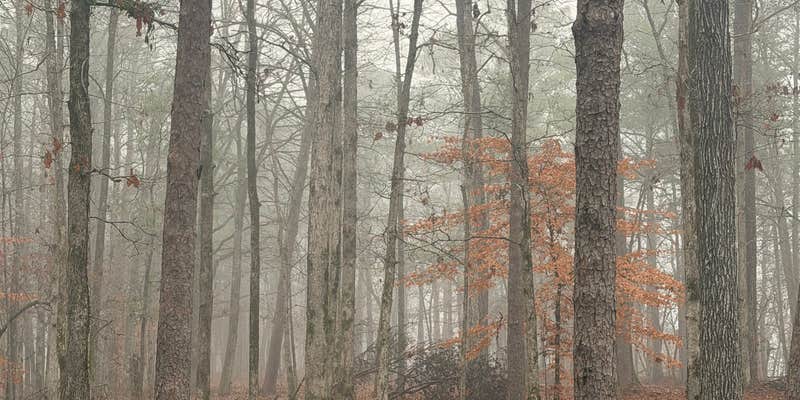 Camper submitted image from Blue Creek Public Use Area