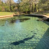 Review photo of Blue Springs State Park Campground by Ted H., March 26, 2026