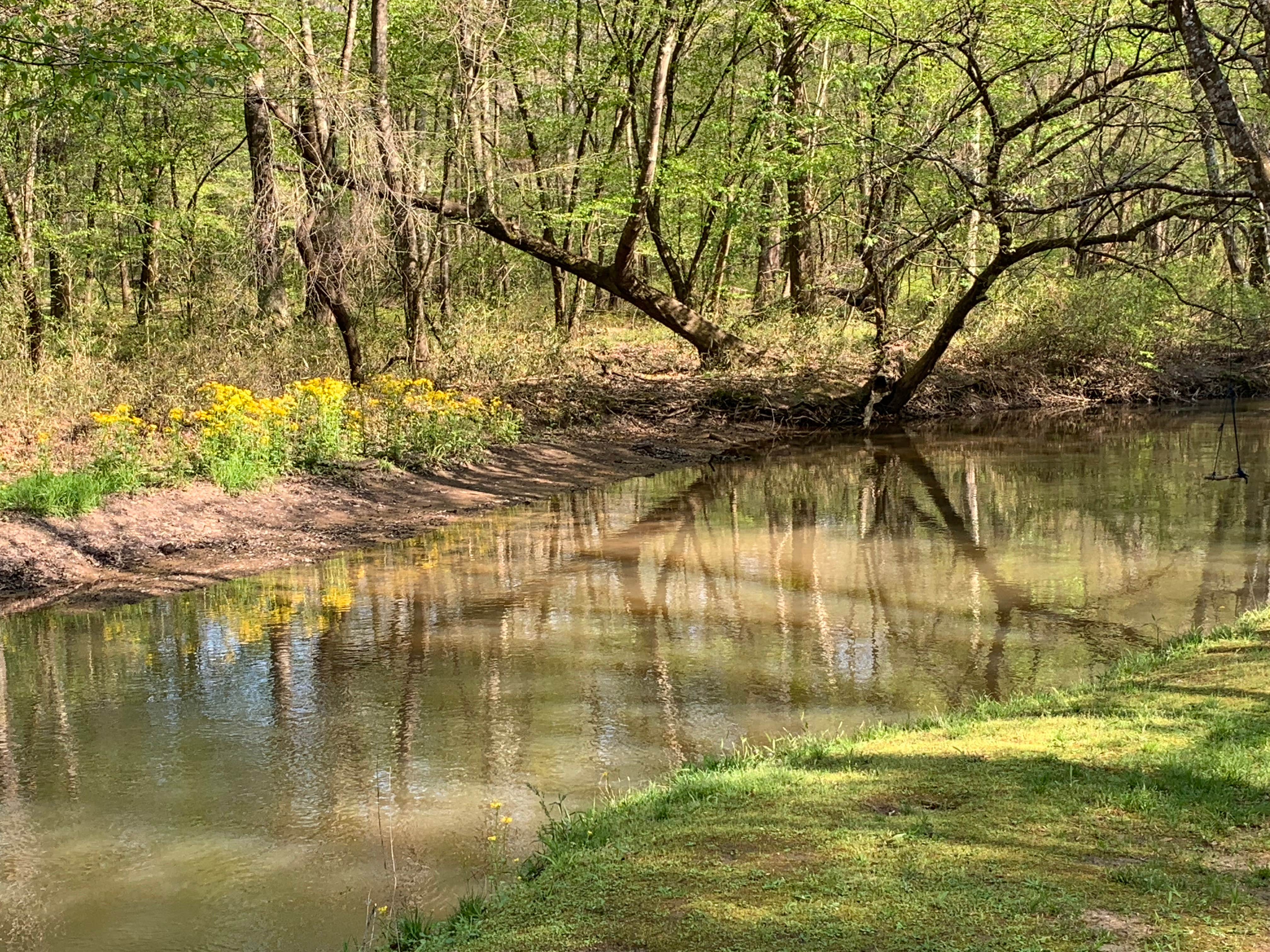 Camper-submitted photo at Blue Springs State Park Campground near Abbeville, AL