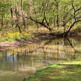 Review photo of Blue Springs State Park Campground by Ted H., March 26, 2026