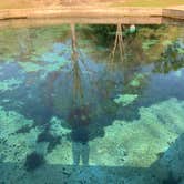 Review photo of Blue Springs State Park Campground by Ted H., March 26, 2026