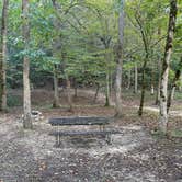 Review photo of Buck's Pocket State Park Campground by Bill  T., January 2, 2026
