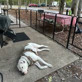 Review photo of Buck's Pocket State Park Campground by Bill  T., January 2, 2026