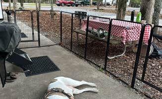 Bill T.'s photo of camping with pets at Buck's Pocket State Park Campground near Leesburg, AL