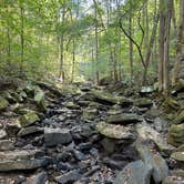 Review photo of Buck's Pocket State Park Campground by Lauren B., September 21, 2023