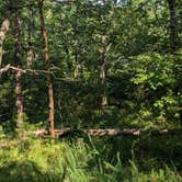 Review photo of Upper Improved Campground — Cheaha State Park by Birdy B., July 5, 2026
