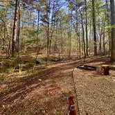 Review photo of Coleman Lake Rec Area by kelsie S., April 13, 2026