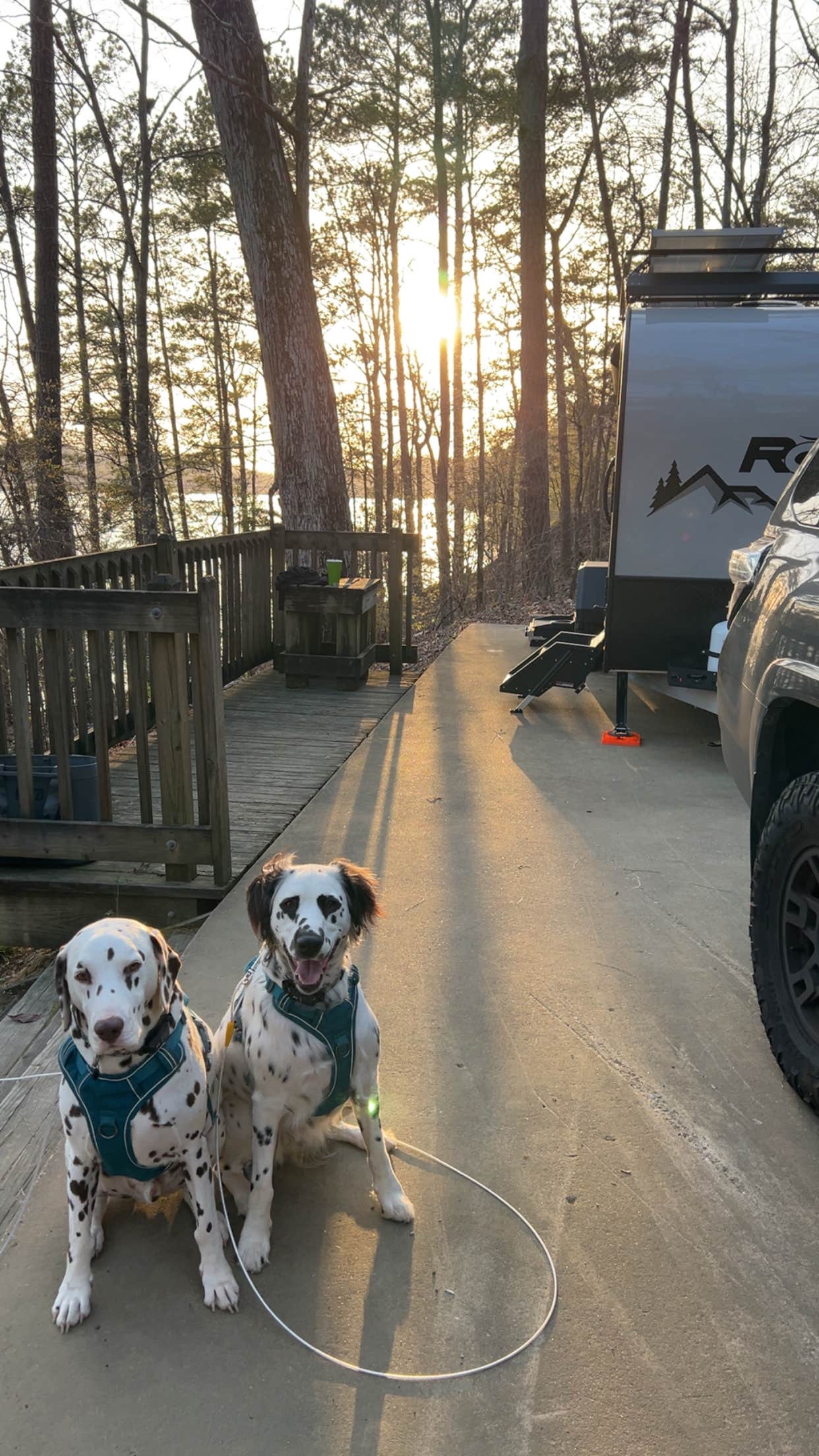 Jules S.'s photo of camping with pets at Deerlick Creek near Montevallo, AL