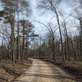 Review photo of DeSoto State Park Campground by Justin M., April 5, 2024