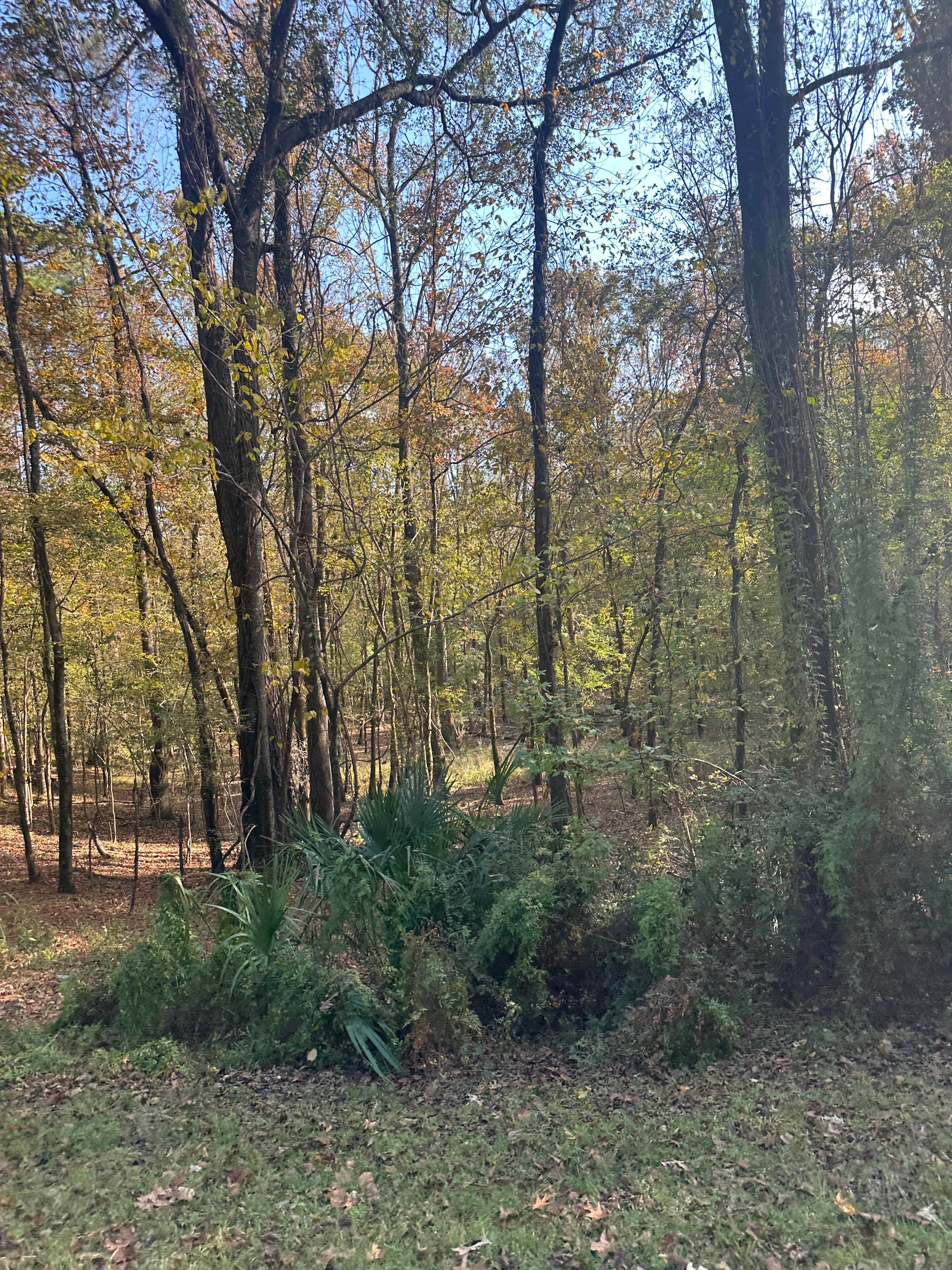 Camping near Thornhill Ridge: Fort Toulouse - Jackson Park Campground, Wetumpka, Alabama