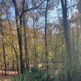 Review photo of Fort Toulouse - Jackson Park Campground by Alisa P., November 8, 2025