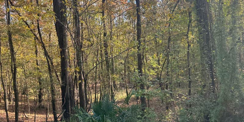 Camper submitted image from Fort Toulouse - Jackson Park Campground