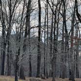 Review photo of Foscue Creek by Liz H., February 20, 2026