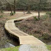 Review photo of Foscue Creek by Liz H., February 20, 2026