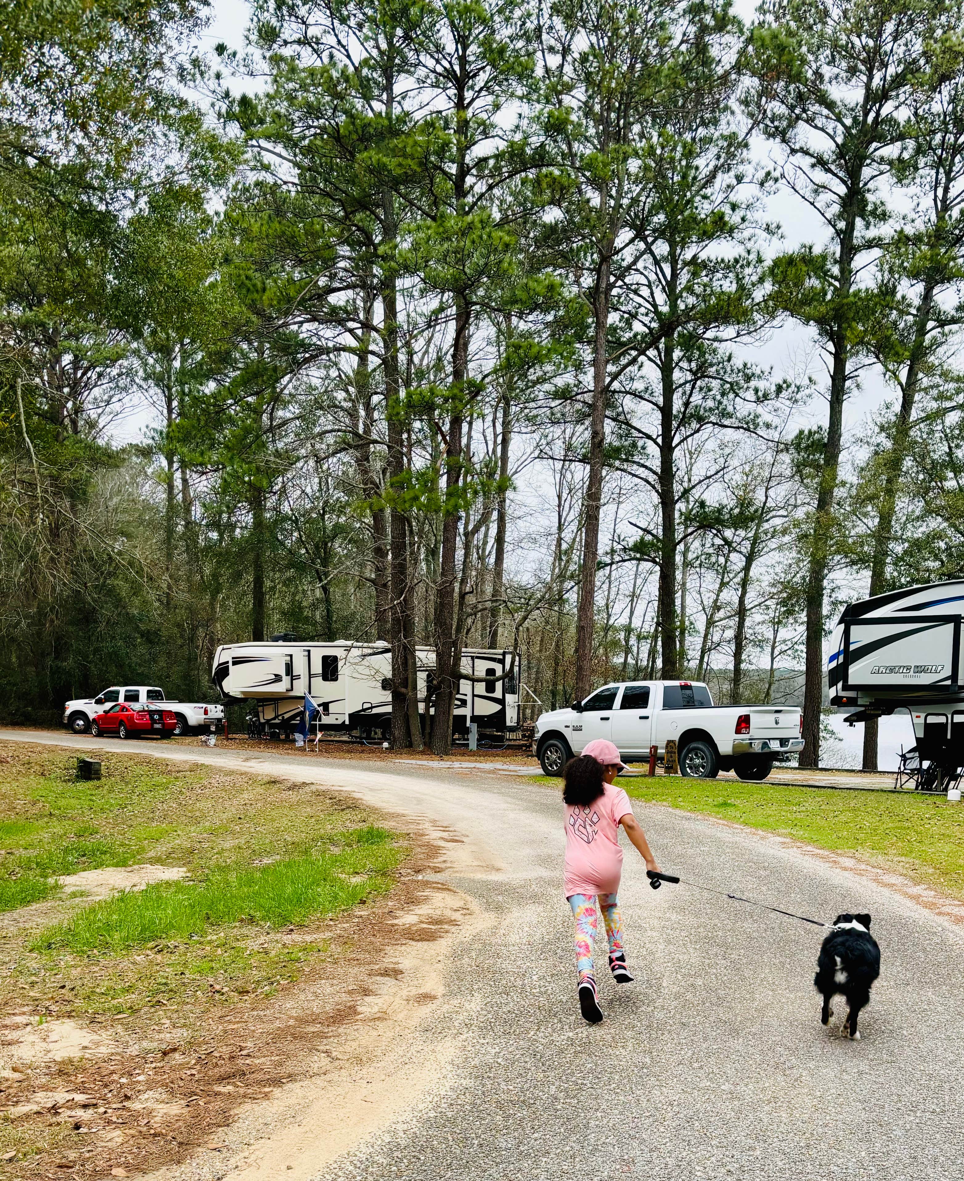 L&A C.'s photo of camping with pets at Frank Jackson State Park Campground near Enterprise, AL