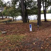 Review photo of Goose Pond Colony Resort Campground by Anna M., October 26, 2025