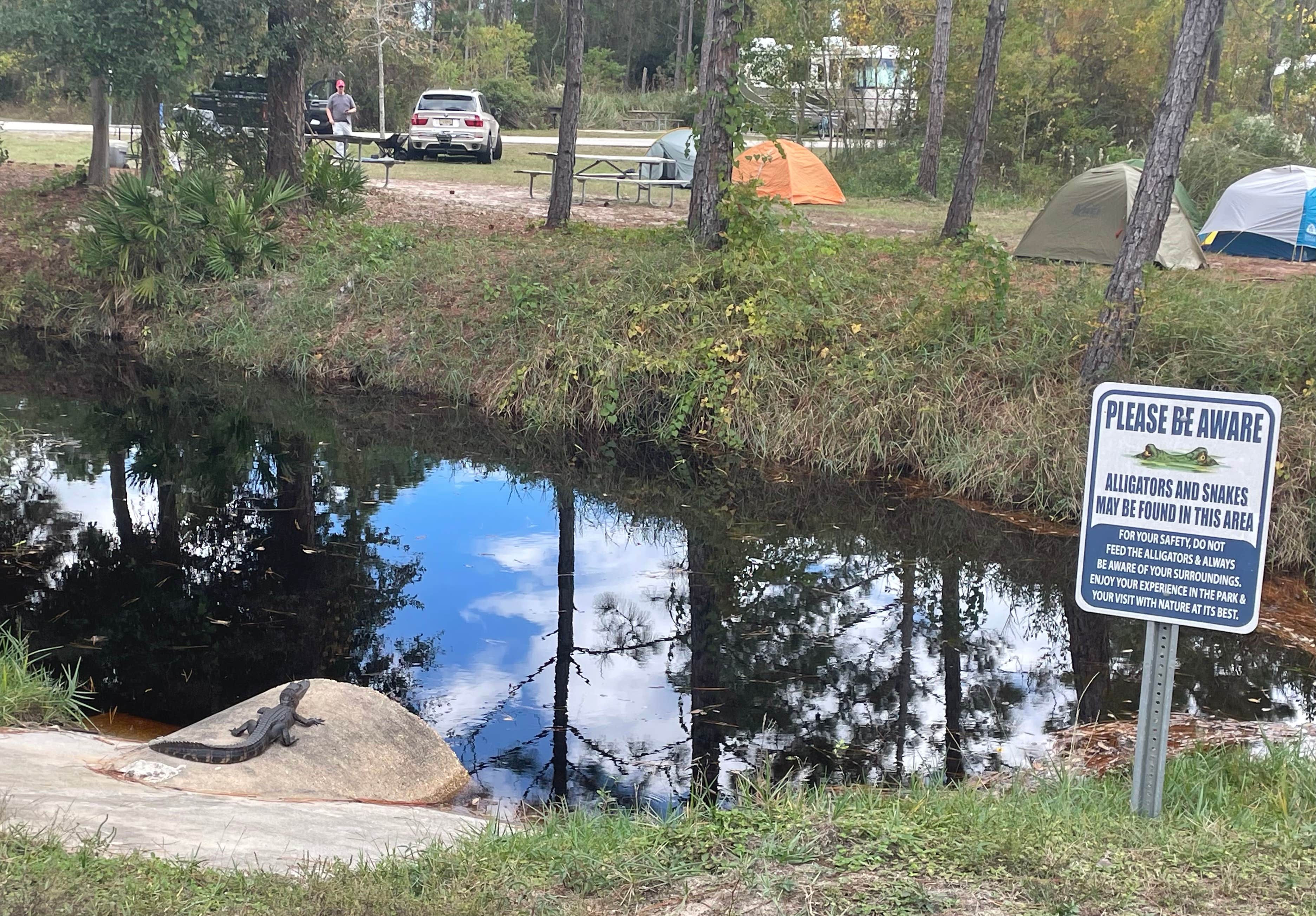 Joel R.'s photo of tent camping at Gulf State Park Campground near Bay Minette, AL