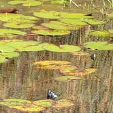 Review photo of Gulf State Park Campground by Tiffany M., March 22, 2026