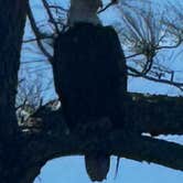 Review photo of Gulf State Park Campground by Tiffany M., March 22, 2026