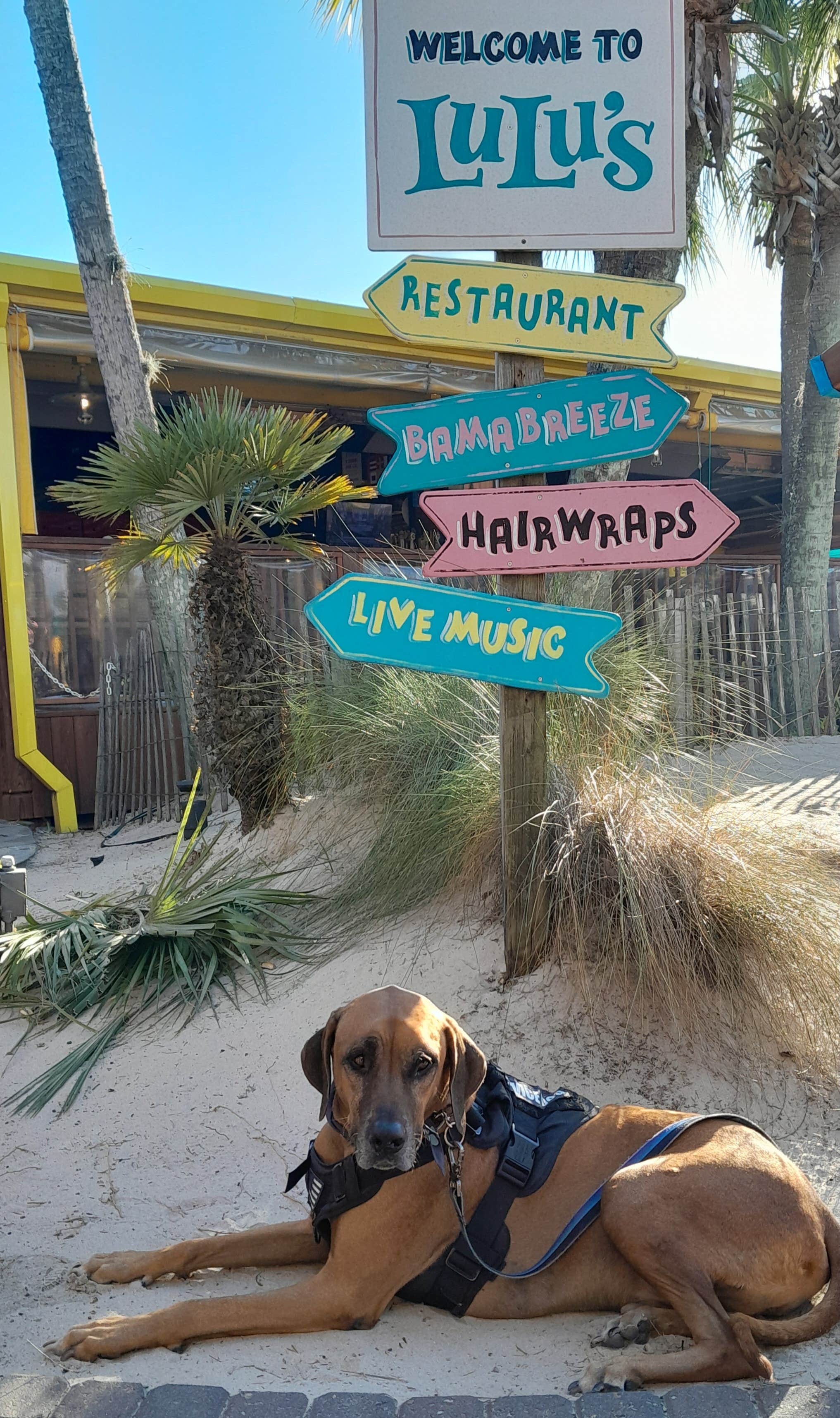 Nancy K.'s photo of camping with pets at Gulf State Park Campground near Magnolia Springs, AL