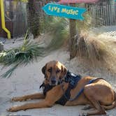 Review photo of Gulf State Park Campground by Nancy K., December 3, 2025