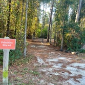 Review photo of Gulf State Park Campground by Joel R., November 4, 2023
